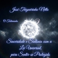 Sinceridade e Sintonia com a Lei Universal, para Sentir-se Protegido (feat. José Trigueirinho Netto) - Single - O Testemunho