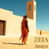 Anaya (Afro House x Tropical House & Summer Dance Energy)