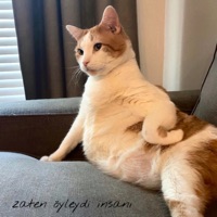Zaten öyleydi Insanı