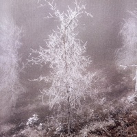 вечная петля - Single - PROOVY