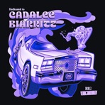 Dedicated to Cadalee Biarritz (Chopped Not Slopped)