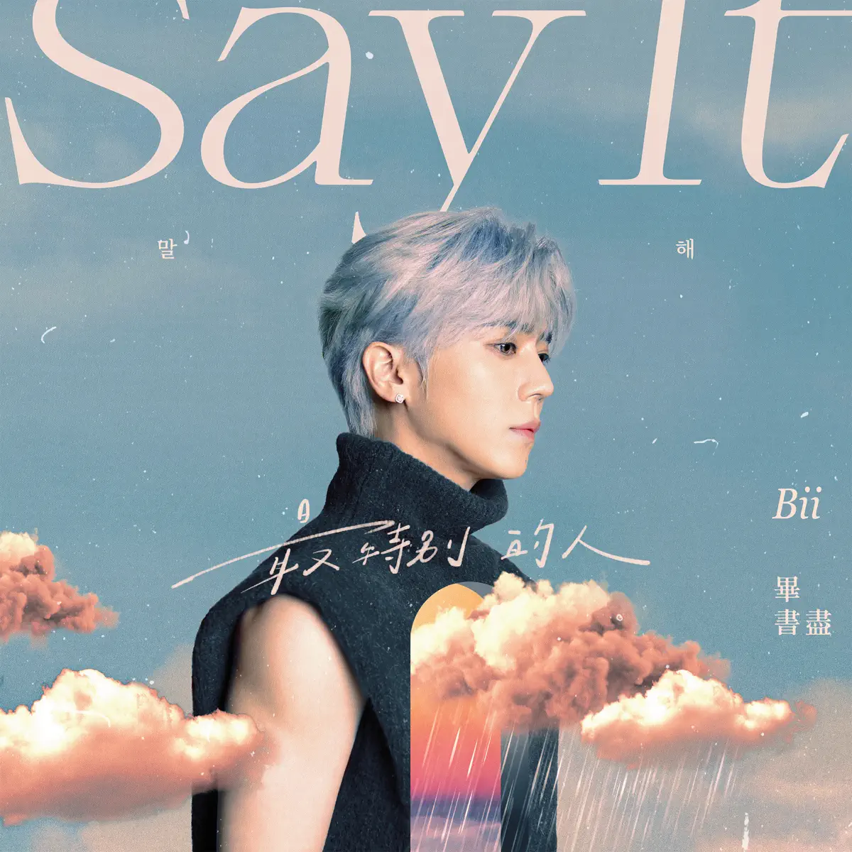 畢書盡 - 最特別的人 Say It - Single (2024) [iTunes Plus AAC M4A]-新房子