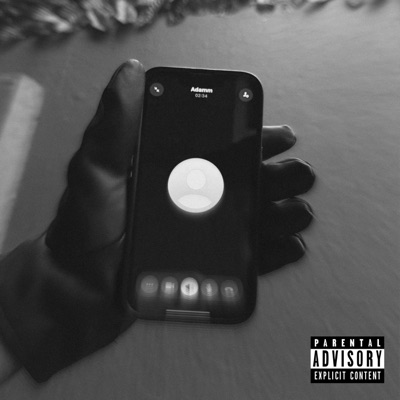 NÚMERO TELEFÓNICO (feat. Adamm) - Single