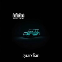 Guardian - Single - DJ Hansen