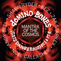Domino Bones (Gets Dangerous) (feat. Noel Gallagher, Shaun Ryder, Bez, Zak Starkey & Andy Bell) [Radio Edit] - Single - Mantra of the Cosmos