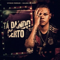 Tá Dando Certo - Single - Vitinho Ferrari & Galego No Beat
