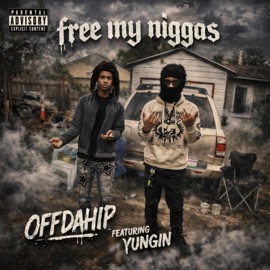 Free My N****s (feat. Yungin) OffDaHip22