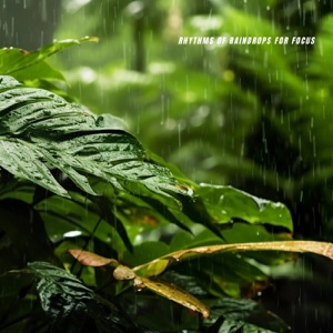 Rhythms of Raindrops for Focus - Single