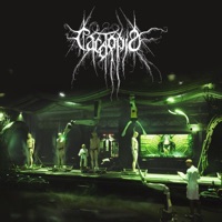 The Beginning of the End