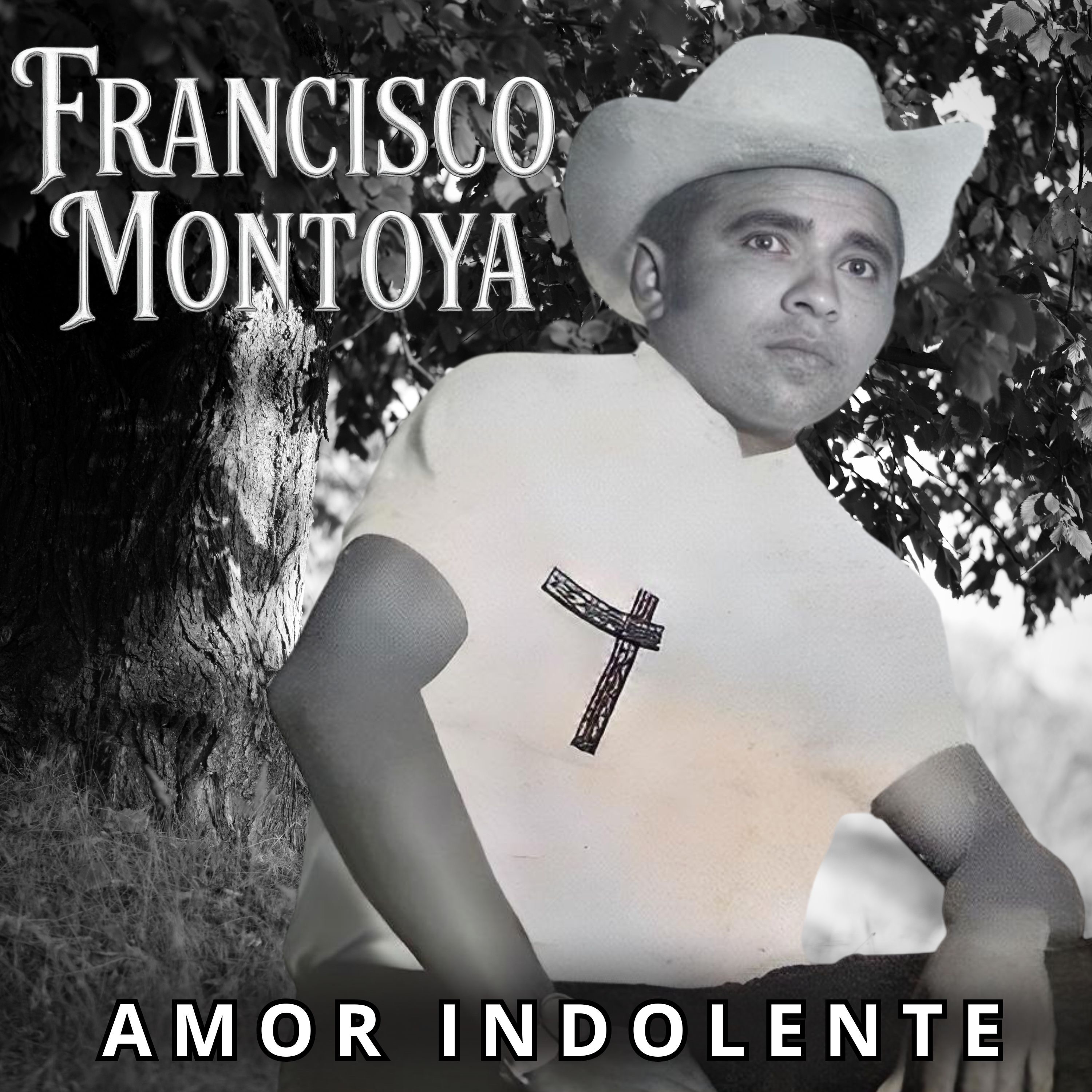 Amor Indolente - Single