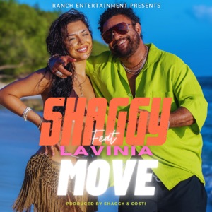 Shaggy - MOVE (feat. Lavinia) - Line Dance Choreographer