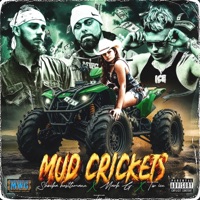 Mudcrickets (feat. Mark gorzen & SHOCKA HUSTLEMANE) - Single - Tw ice