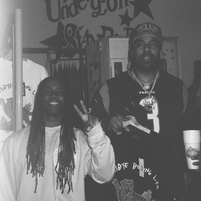 Risk (feat. Lil' Flip) [Remix] - Single