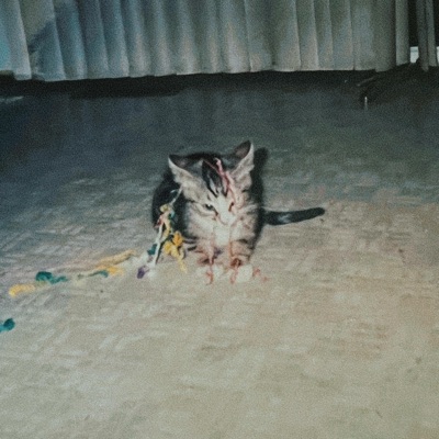 apart of life - Single