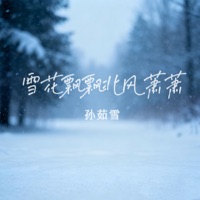 雪花飘飘北风萧萧 - Single - 孙茹雪
