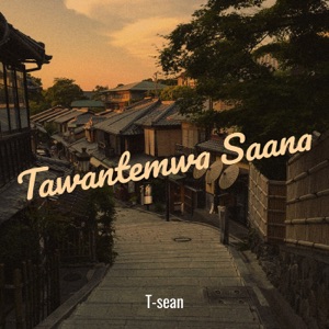 Tawantemwa Saana