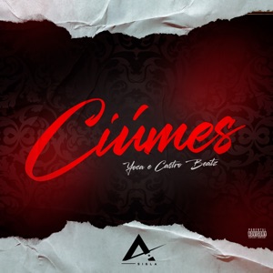 Ciúmes