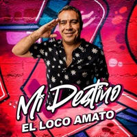Mi Destino - Single - El Loco Amato