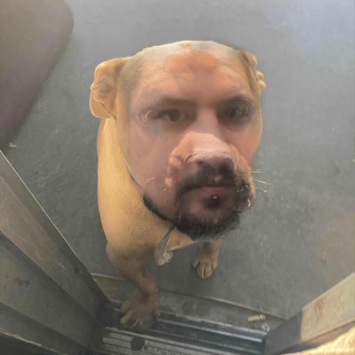 MSG to CAT (feat. C the Rapper) - Single