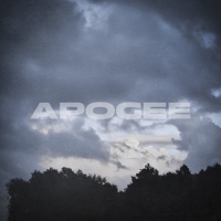 APOGEE - Single - RXIJIN & light