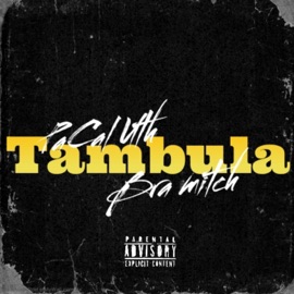 Tambula (feat. Bra Mitch) PaCal Uth