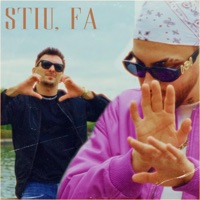 STIU, FĂ ! (feat. HESS MCL) - Single - TOMMY MCL