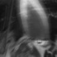 Rot Alone - Single - $kit