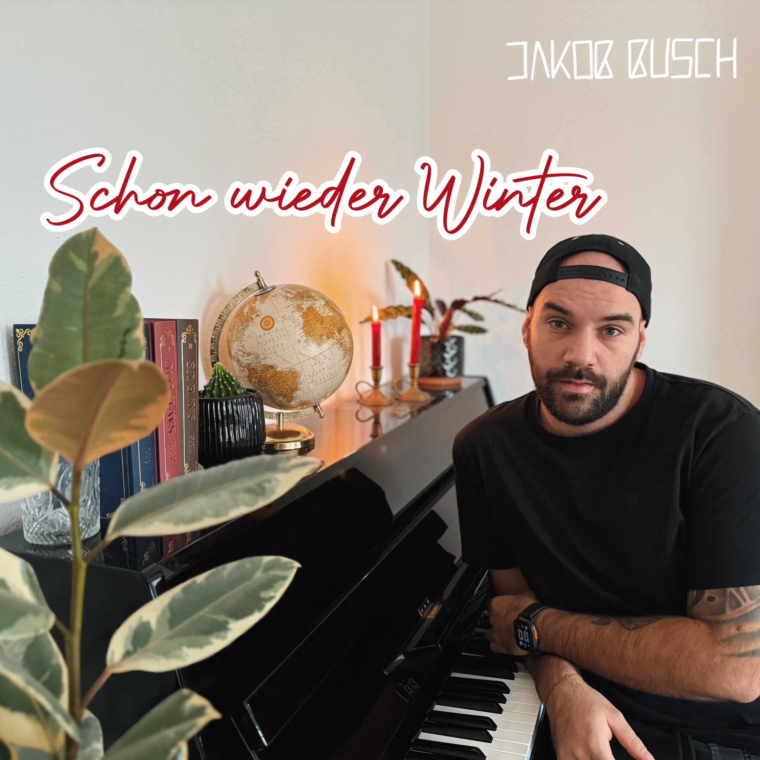 Schon wieder Winter - Single