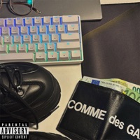 grrr - Single - FOXIN & panksi