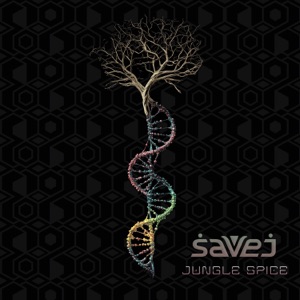 Jungle Spice - Single