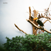 Polyester Skin - Jacob Bellens