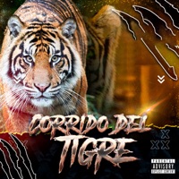 Corrido del Tigre - Single - Los Armadillos de la Sierra