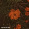 Auttum Drives - Single