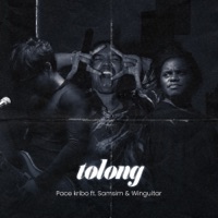 Tolong (feat. Samsim & Winguitar) - Single - Pace Kribo