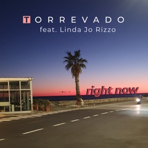 Right Now (feat. Linda Jo Rizzo) - Single