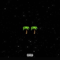 Palmwine Music 2 - Show Dem Camp