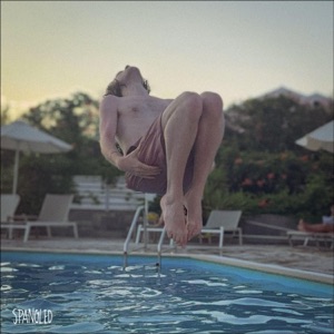 Perfect Recluse - Single