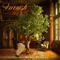 Varnish