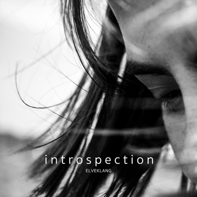 Introspection - Single