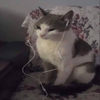 I wrote this for you at 4am when i couldn't sleep (feat. AMGDASAMURAI) - Single