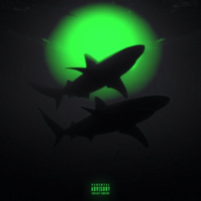 After It's Said and Done - Single