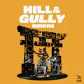Instrumental.Di Genius.Hill & Gully Riddim
