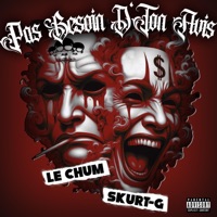 Pas Besoin D'ton Avis (feat. Le Chum) - Single - Skurt-G