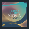 Niebla - Pedro Guerra & Juanes