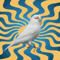 robins in the trees (Damian Faye Remix) - Single - randomsoundguy