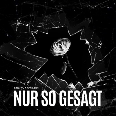 Nur So Gesagt - Single