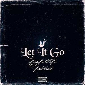 Let it go (feat. Bad Seed)