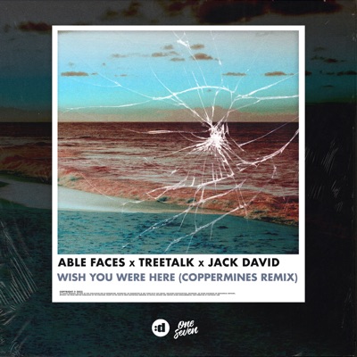 Wish You Were Here (Coppermines Remix) [feat. Jack David] - Single