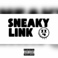 Sneaky Link - Single - Leekjaymusic