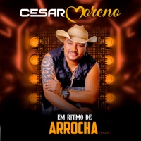 Em Ritmo de Arrocha, Vol. 1 - Cesar Moreno